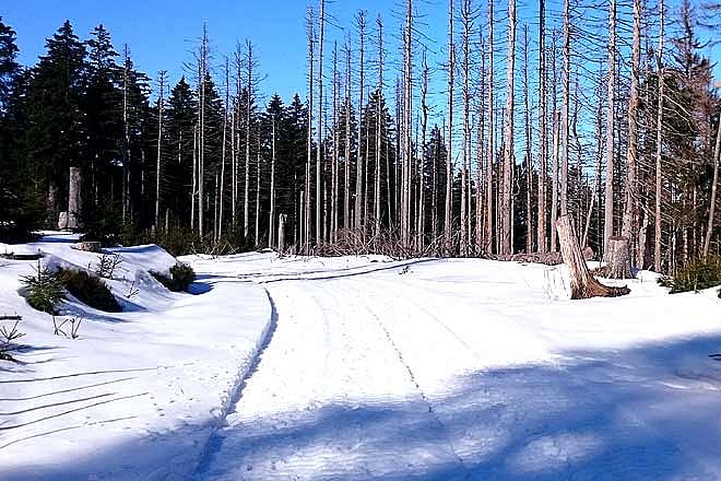 Get bewitched in Germany