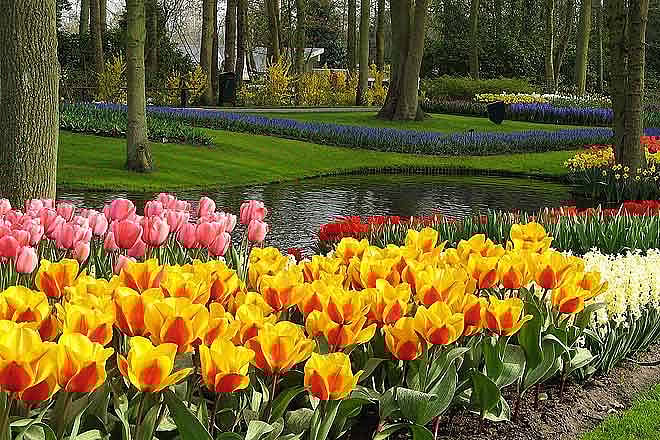 The Keukenhof Gardens A feast for the senses