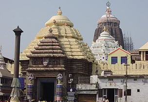 Your guide to Puri--s Nabakalebara Festival