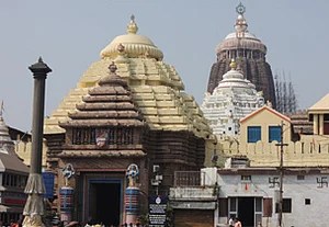 Your guide to Puri--s Nabakalebara Festival