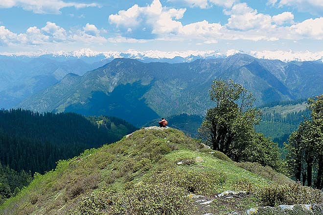 Himachal Pradesh A Quick Guide to Shoja