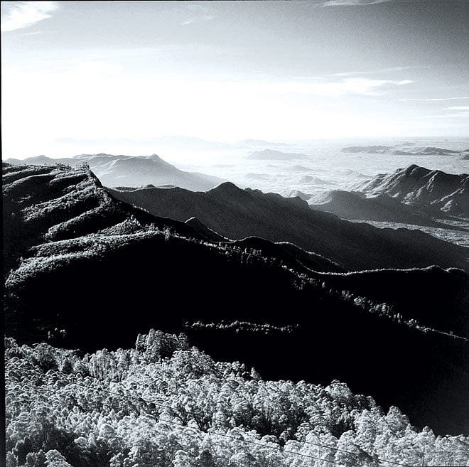 The Shola hills offers plenty of vistas