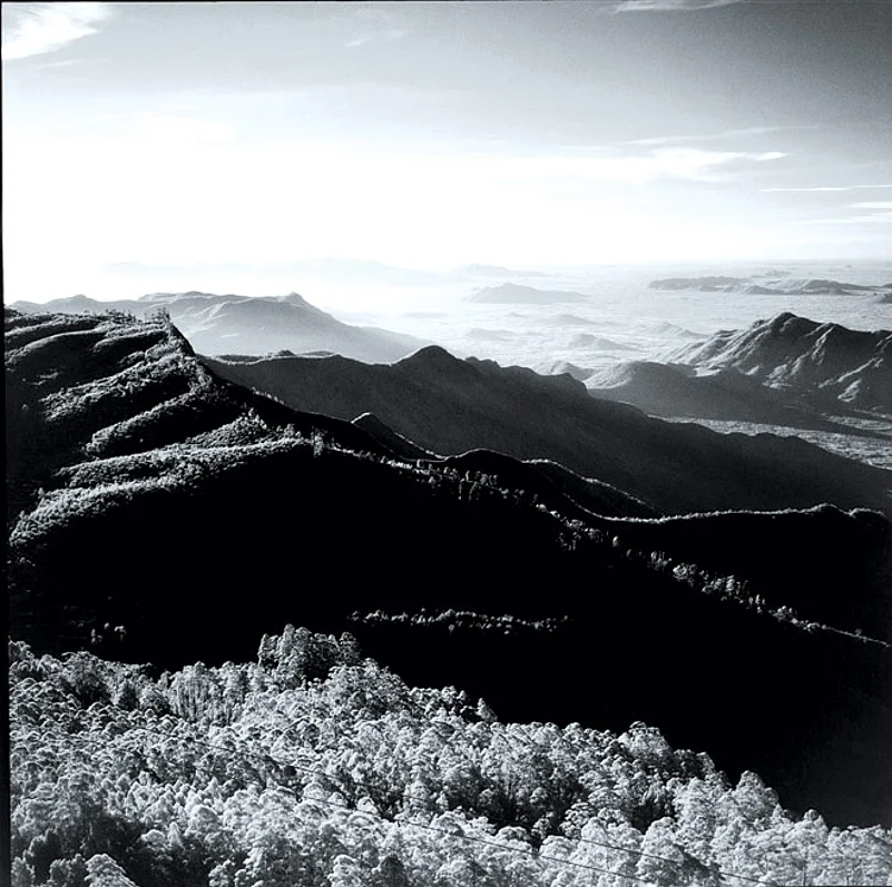 The Shola hills offers plenty of vistas