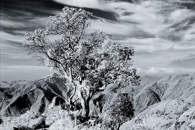 Great sight seeing spots are all around Kodi