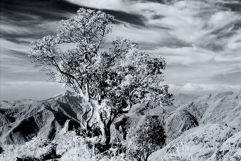 Great sight seeing spots are all around Kodi