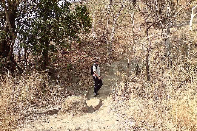 8 treks that your kids will love