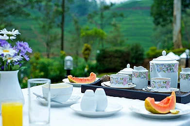 In the heart of Sri Lankas tea country