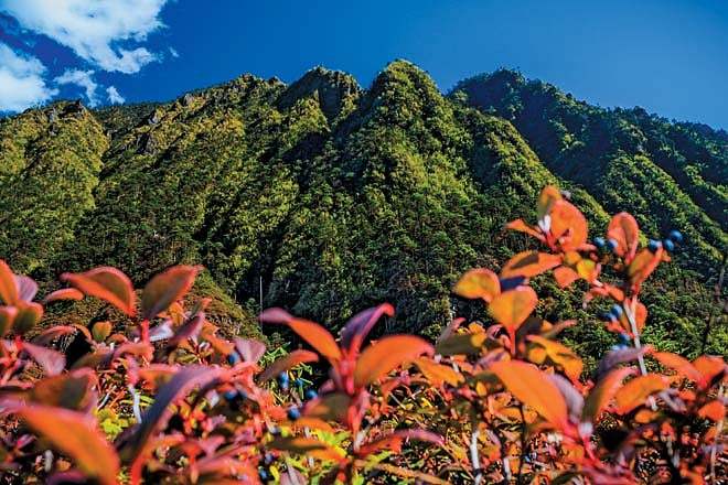 A secret gem from Northeast India