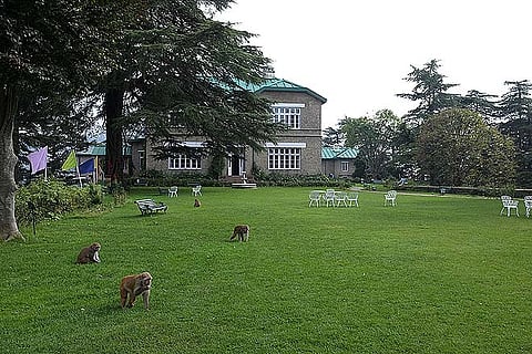 Chail Palace