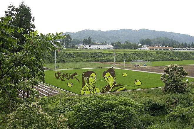 Rice Paddy Art of Japan