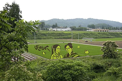 Rice Paddy Art of Japan