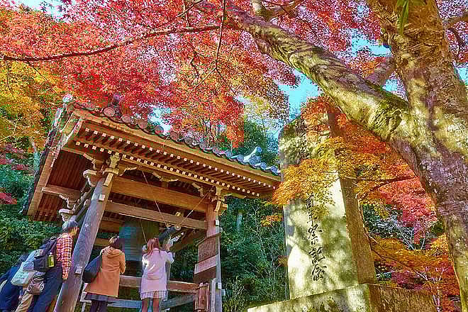 Gion Matsuri Festival of Kyoto