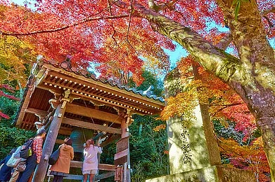 Gion Matsuri Festival of Kyoto
