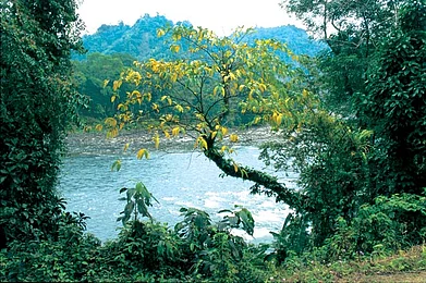 The road to Mechuka