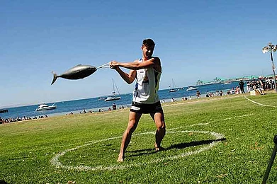 Toss the tuna in South Australia