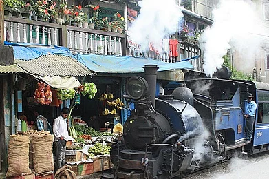Darjeeling Toy Train resumes its journey