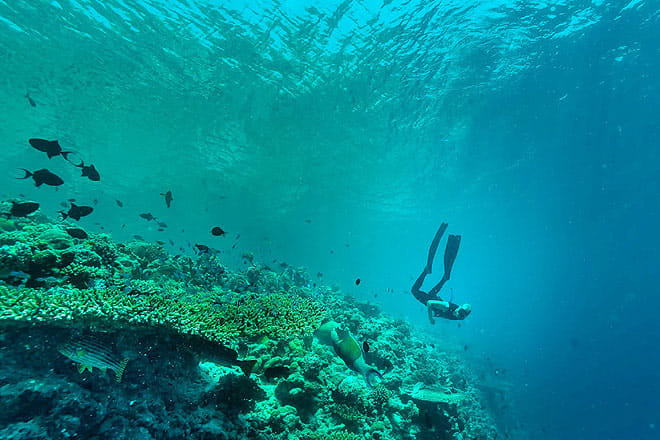 PADI courses allow anyone to begin learning scuba