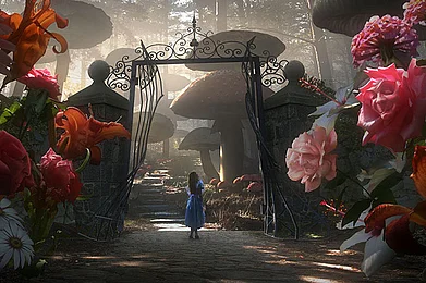 Be Alice for a day