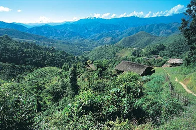 Discovering the Northeast Arunachal Pradesh