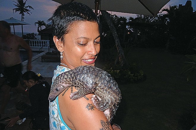 Insider Picks Top 6 destinations for nature lovers