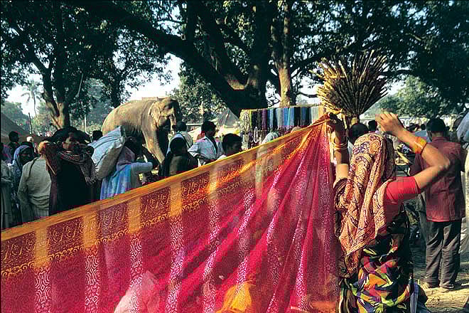Sonepur Mela--the largest cattle fair in Asia