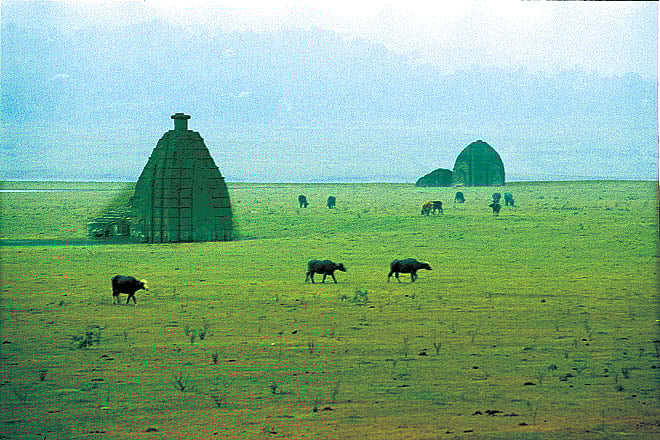 Himachal Pradesh The Submerged Temples of Old Bilaspur