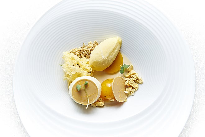 Mango festival in Delhi