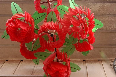 Philippines Pahiyas Festival