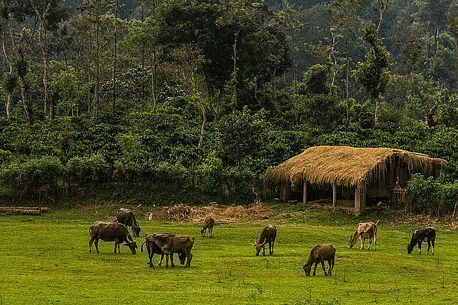 Discover the adventure called Coorg