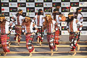 Delhi North East Festival 2016