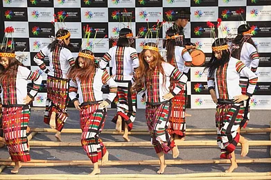 Delhi North East Festival 2016