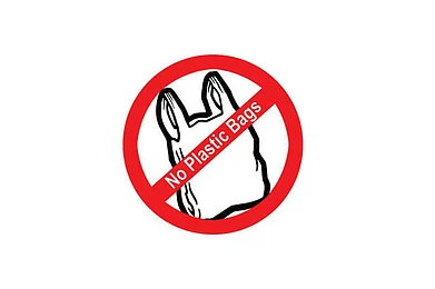 Use of plastic banned between Haridwar and Gomukh