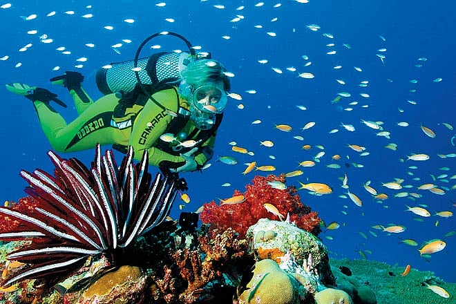 Lakshadweep An underwater adventure to Minicoy