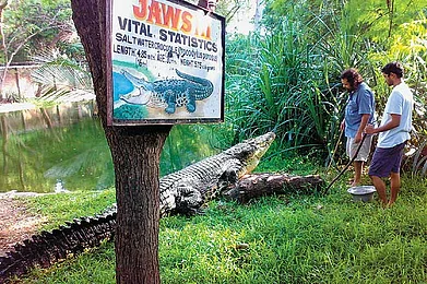 Tamil Nadu Five great eco trips