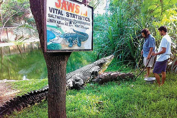 Tamil Nadu Five great eco trips