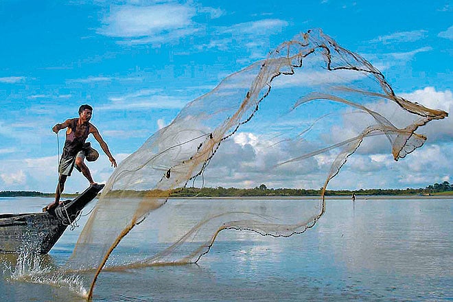 Hot List The Best of Assam