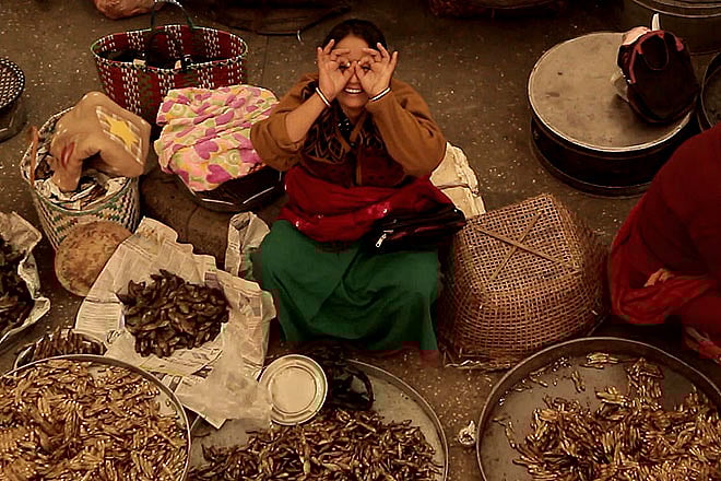 Five Indian Destinations for Solo Women Travellers