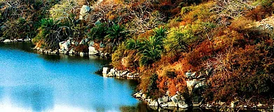 Rajasthan Deep Forest
