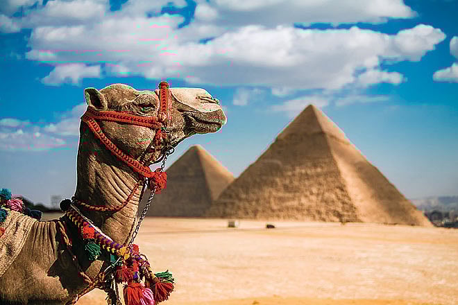 Africa 19 Essential Destinations