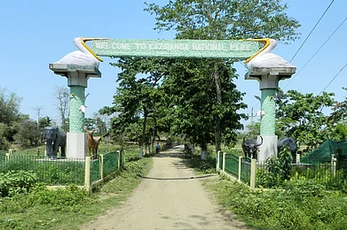 Author : Gateway to Kaziranga National park