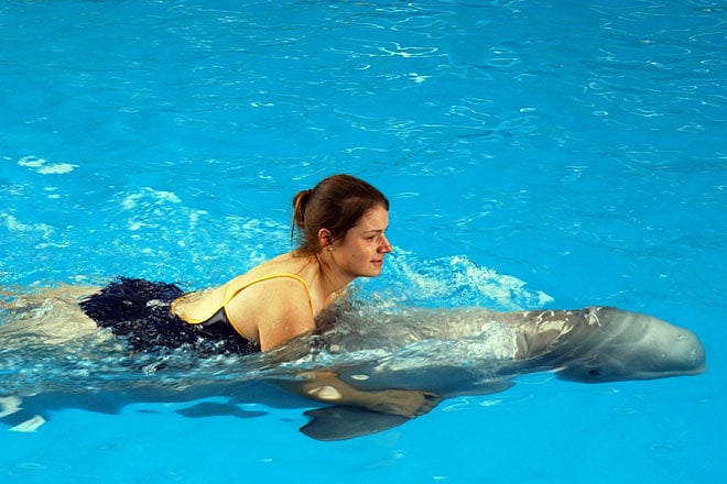 TripAdvisor launches no touching wild animals policy