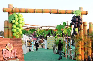 Go Goa in February