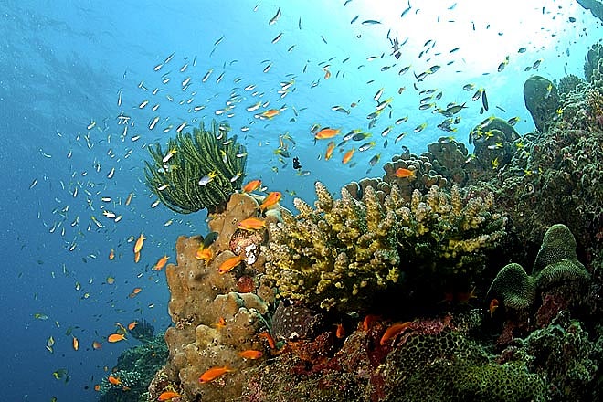 Holiday in The Andamans