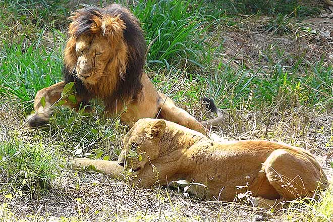 Top 6 nature spots to visit with the family