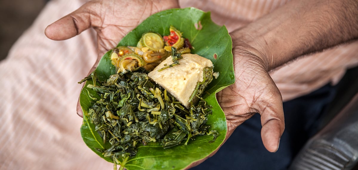 Most vegetables are uncultivated the Adivasi people forage them from forests