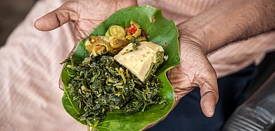 Most vegetables are uncultivated the Adivasi people forage them from forests