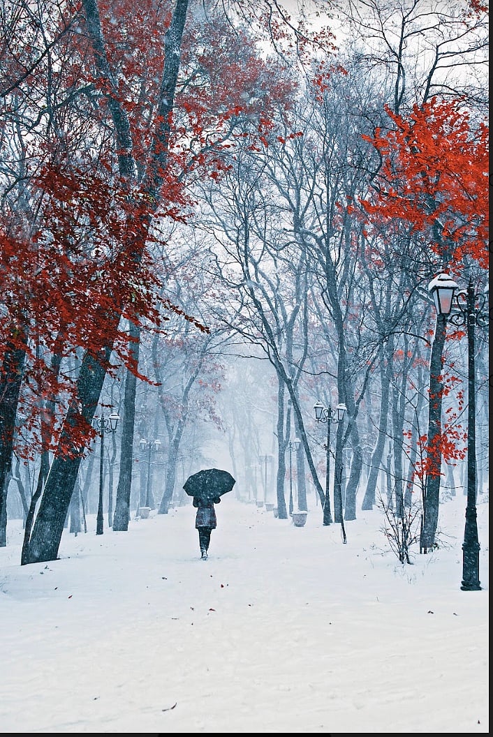 Kashmiri-American poet Agha Shahid Alis works are full of references to Kashmir and snow  Photo Credit Getty Images 