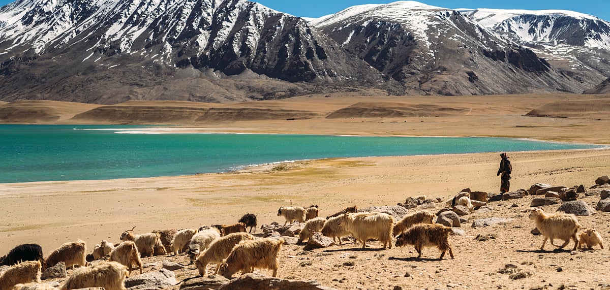  Nomads with a flock of goats next to a lake 