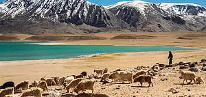 Nomads with a flock of goats next to a lake