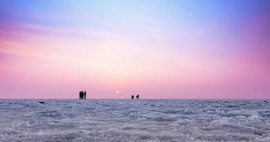 A sunset in pink at the Rann Utsav
